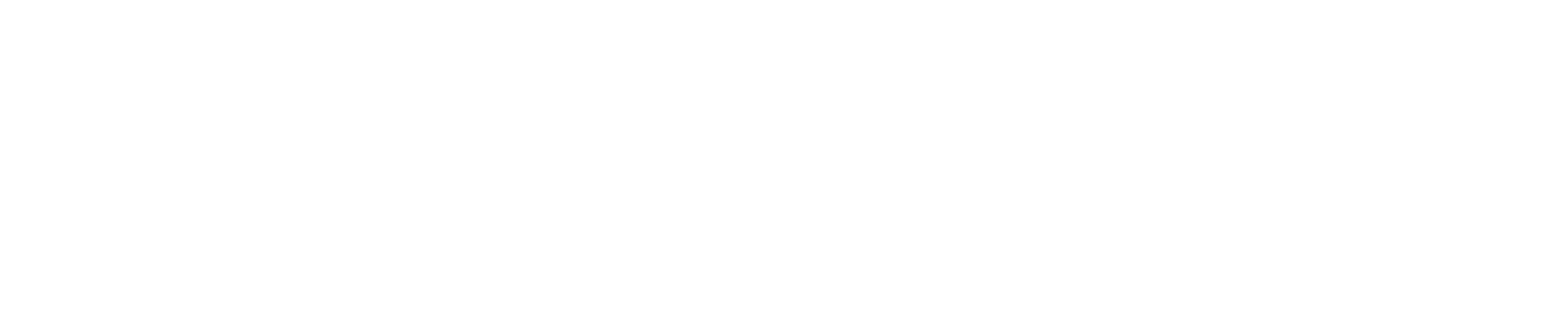 Main Logo