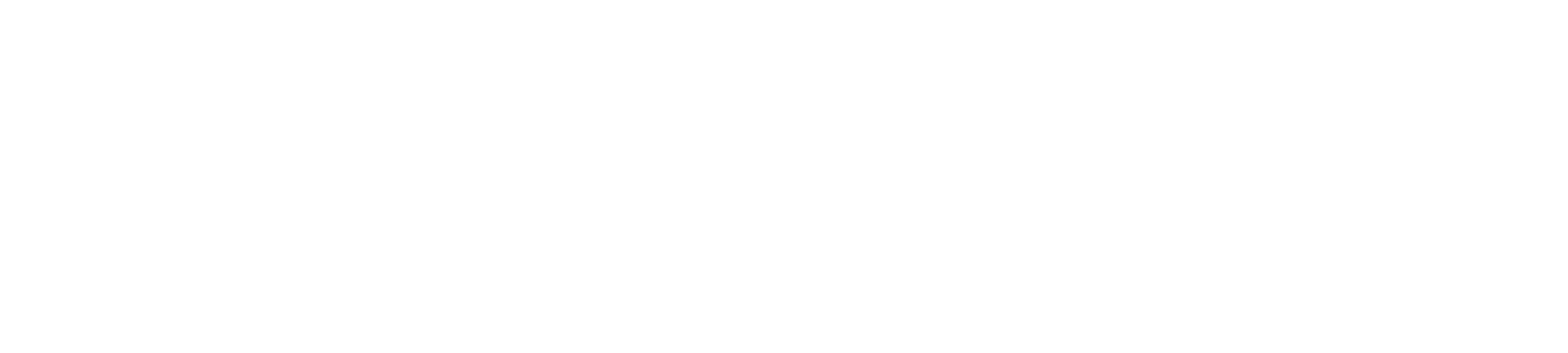 Main Logo