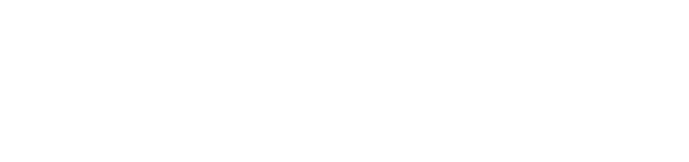 Main Logo