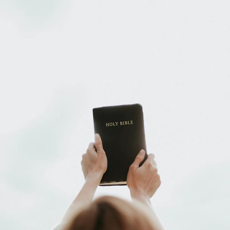 <span style="color: var(--primary-color-bg);">The Bible Is <br>God's Word</span>