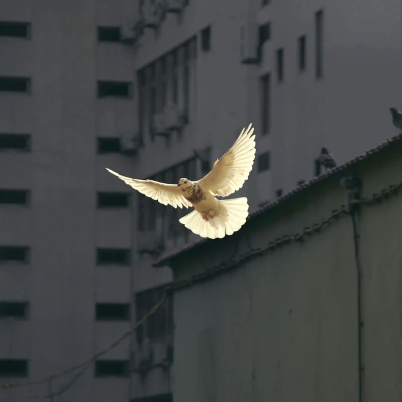 <span style="color:var(--primary-color-bg)">Empowered by <br>the Holy Spirit</span>