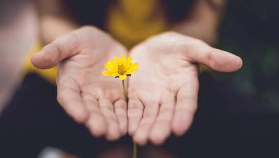 Give to Relief Support in Nepal