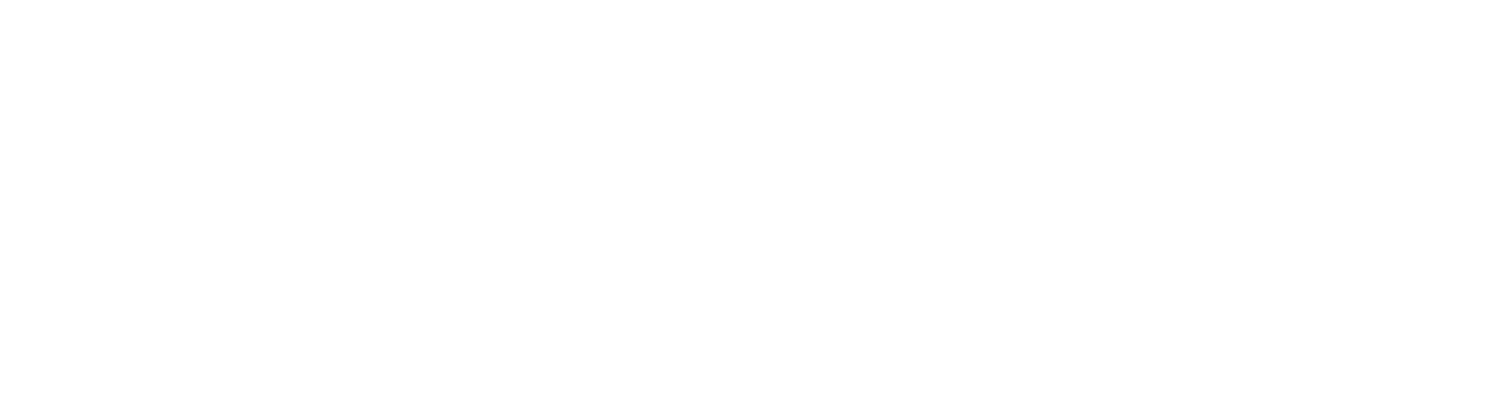 Main Logo