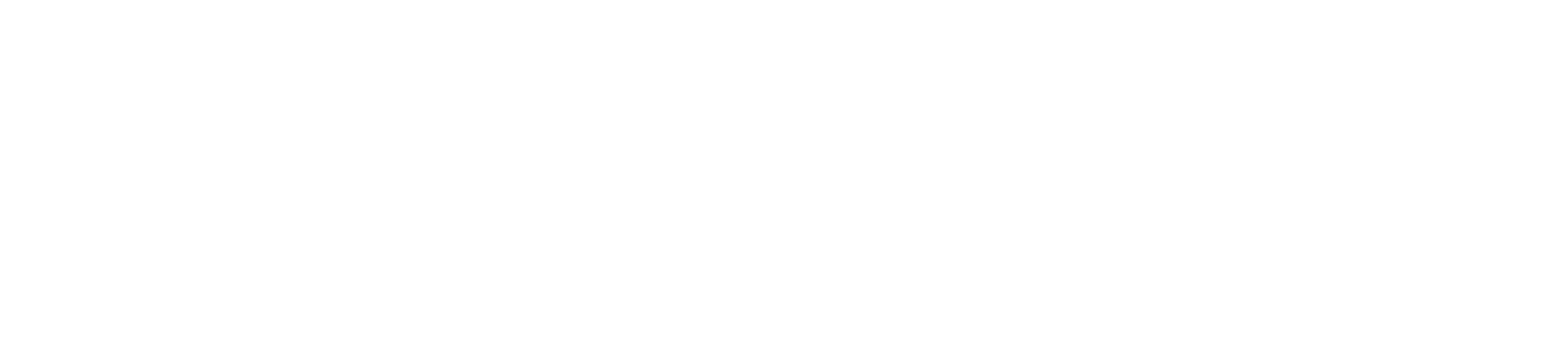 Main Logo