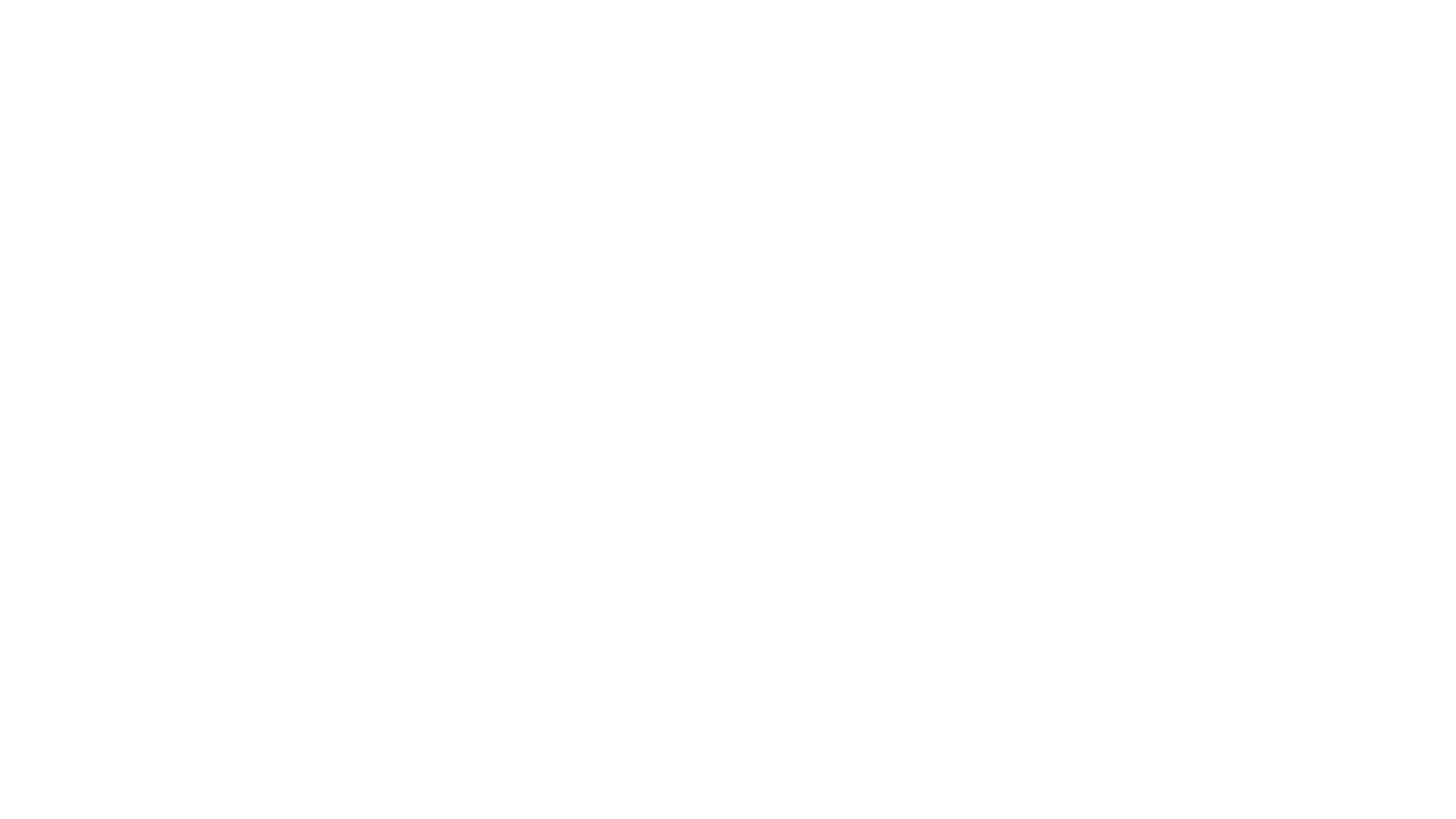 Main Logo