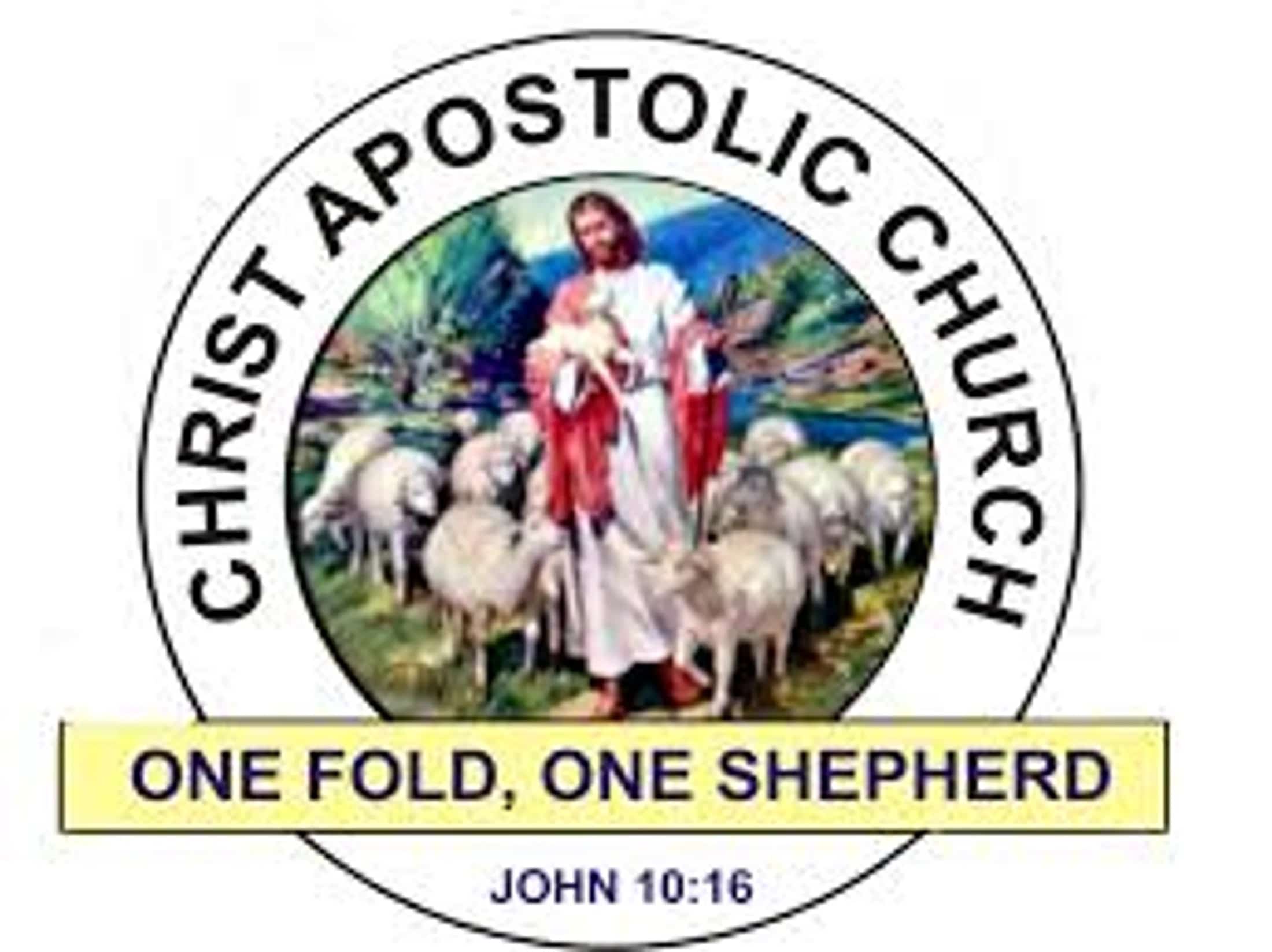 Main Logo