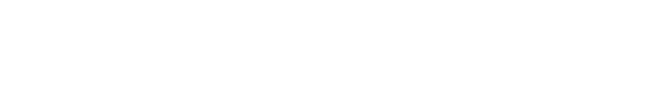 Main Logo