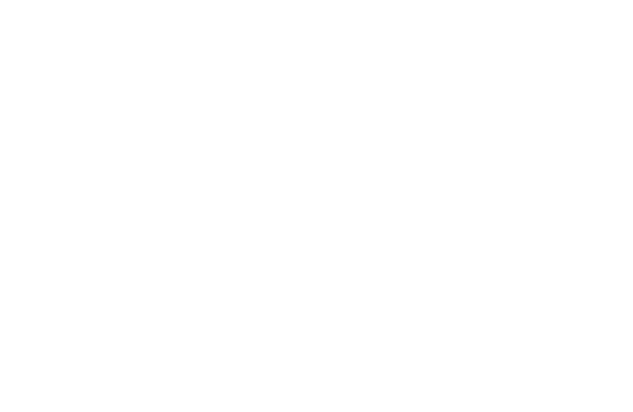 Main Logo