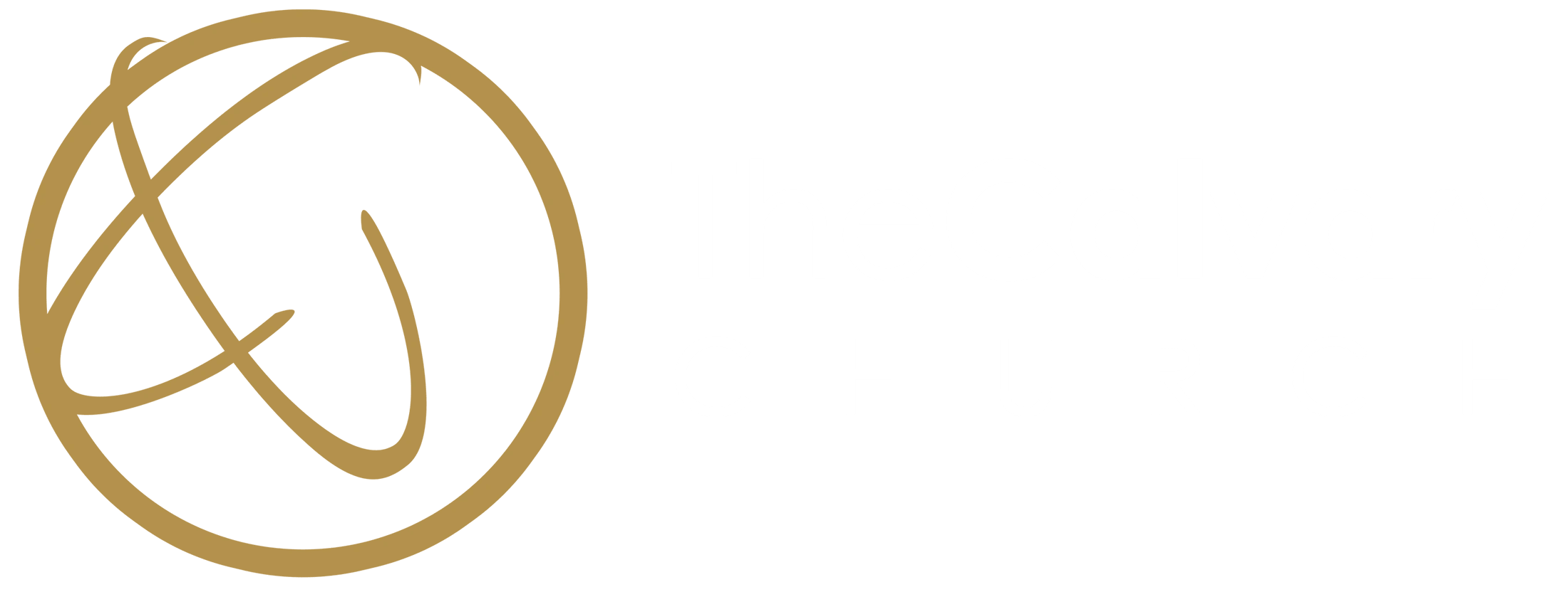 Main Logo