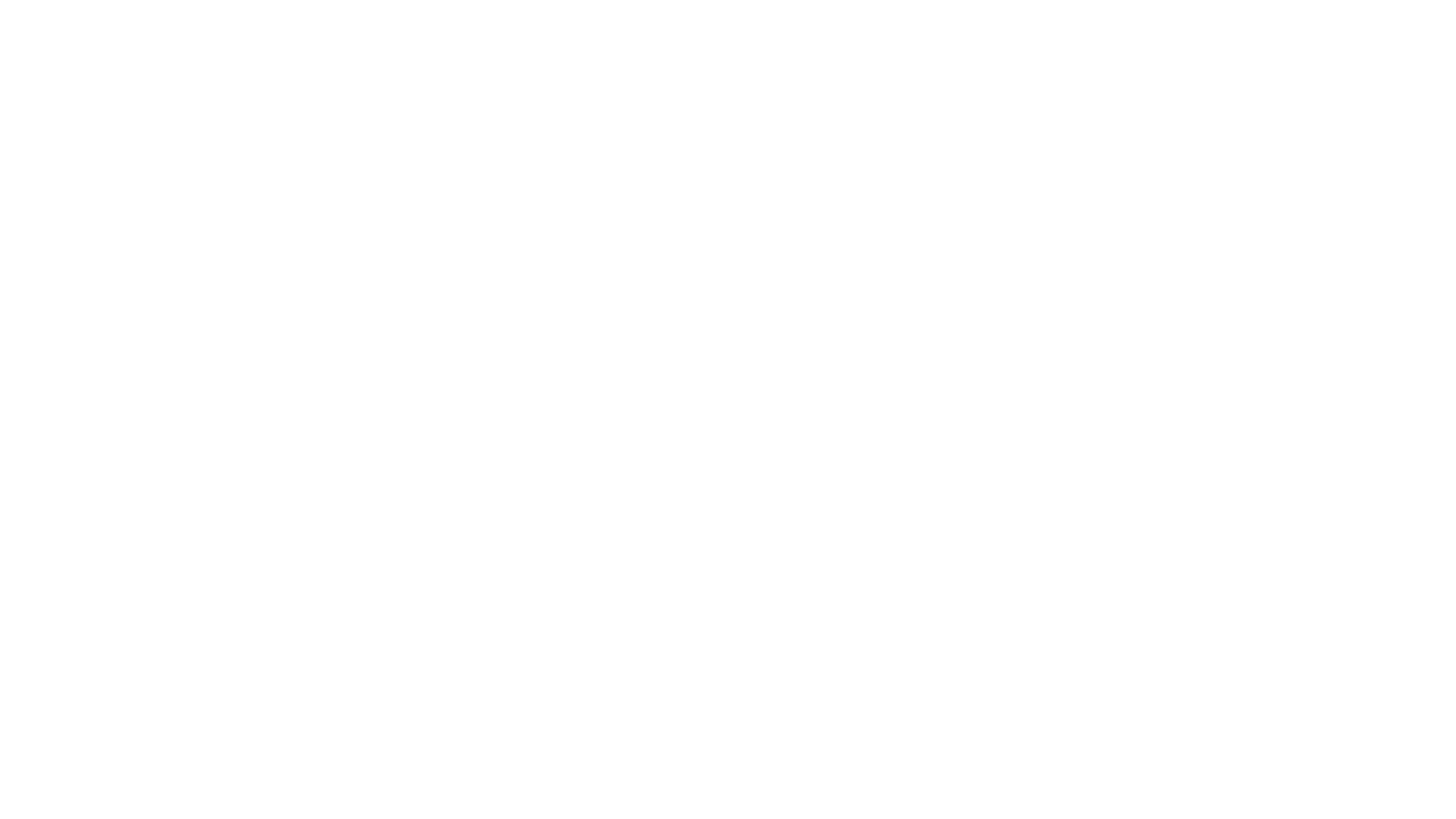 Main Logo