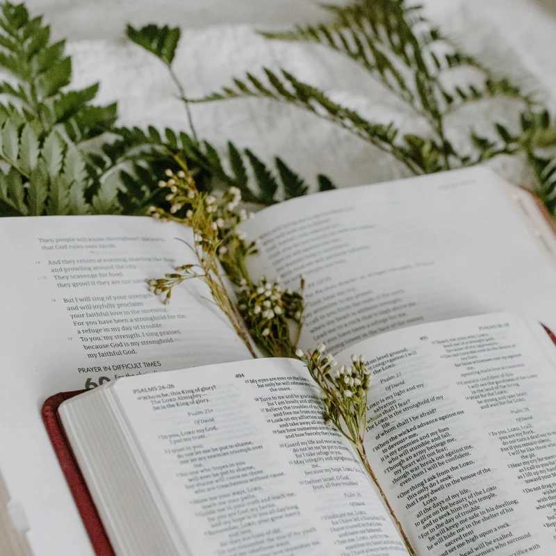 <b>We celebrate the Gospel together </b>