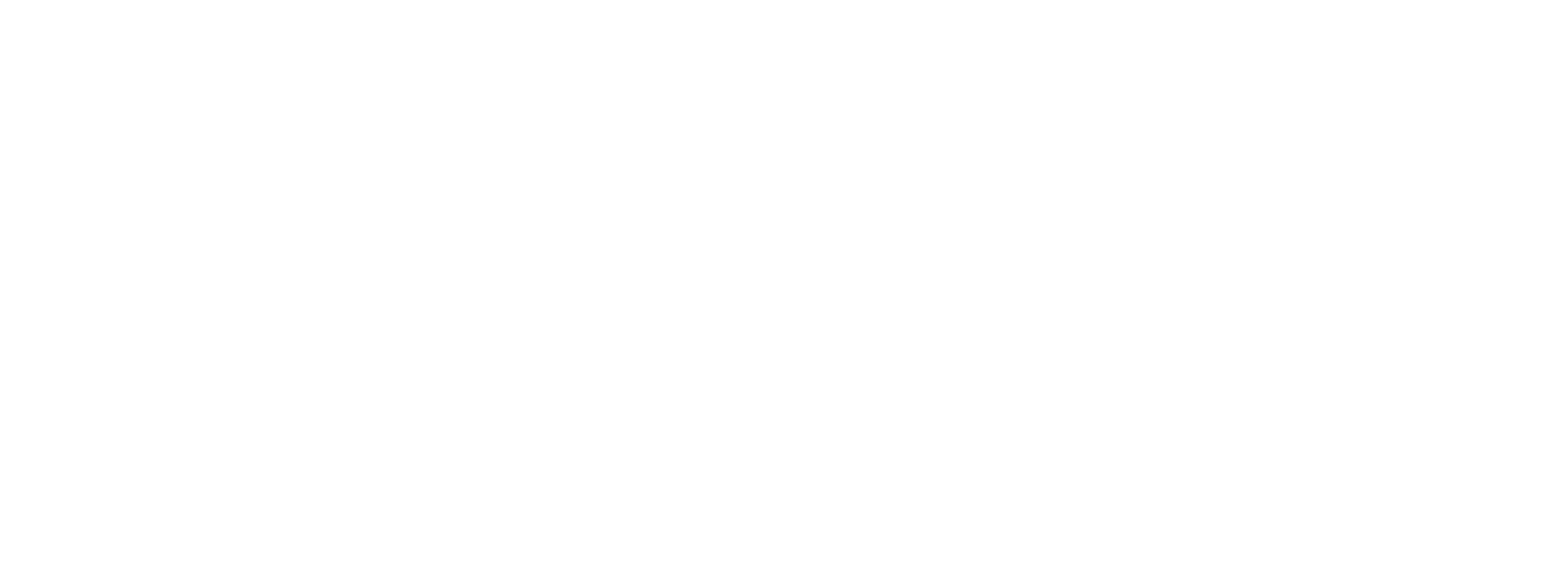 Main Logo