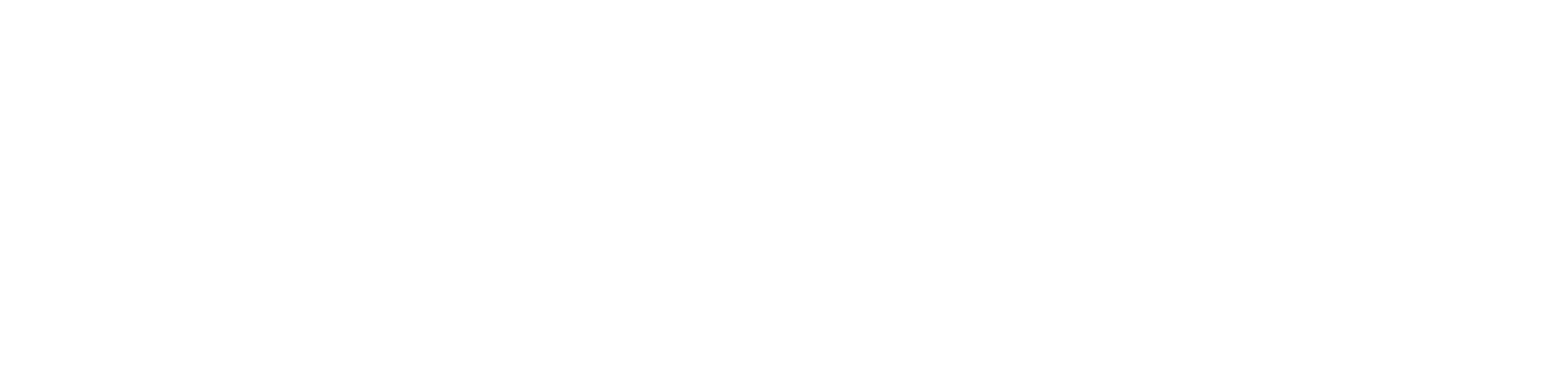 Main Logo