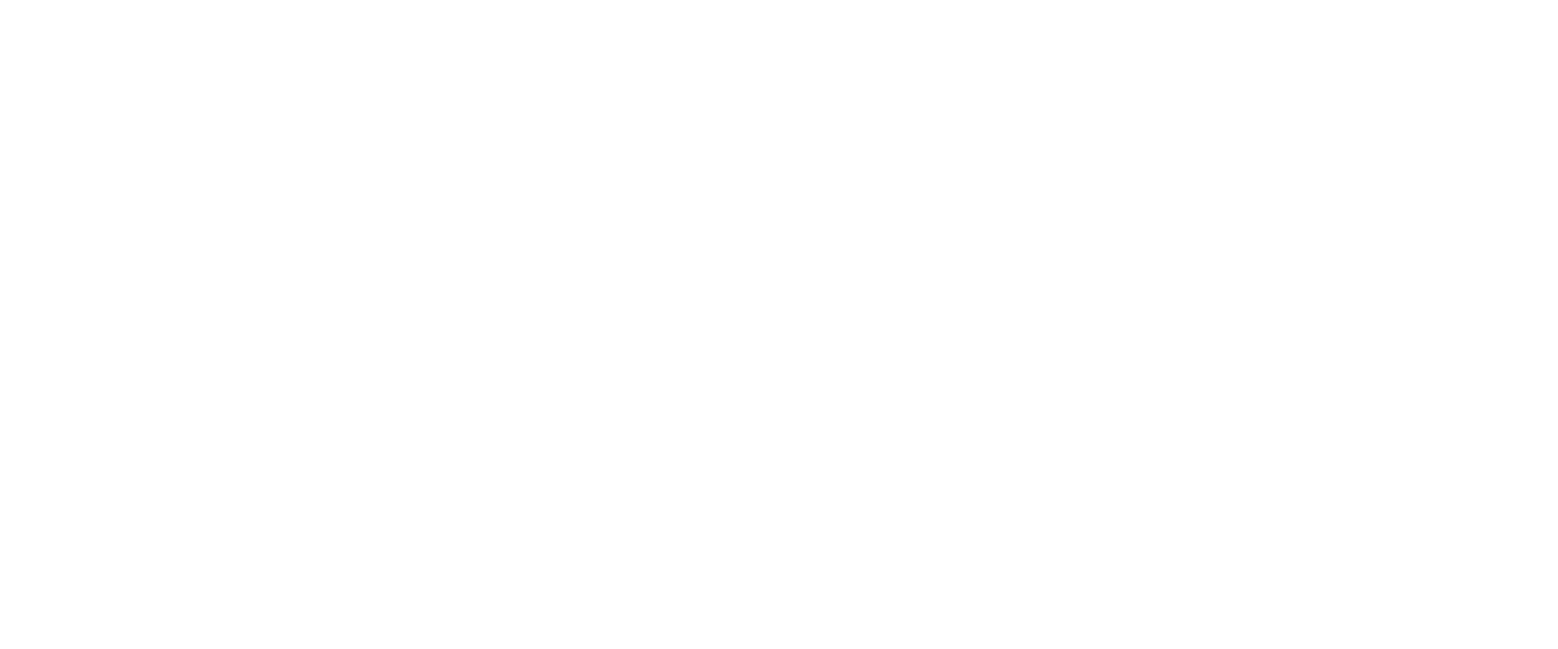 Main Logo