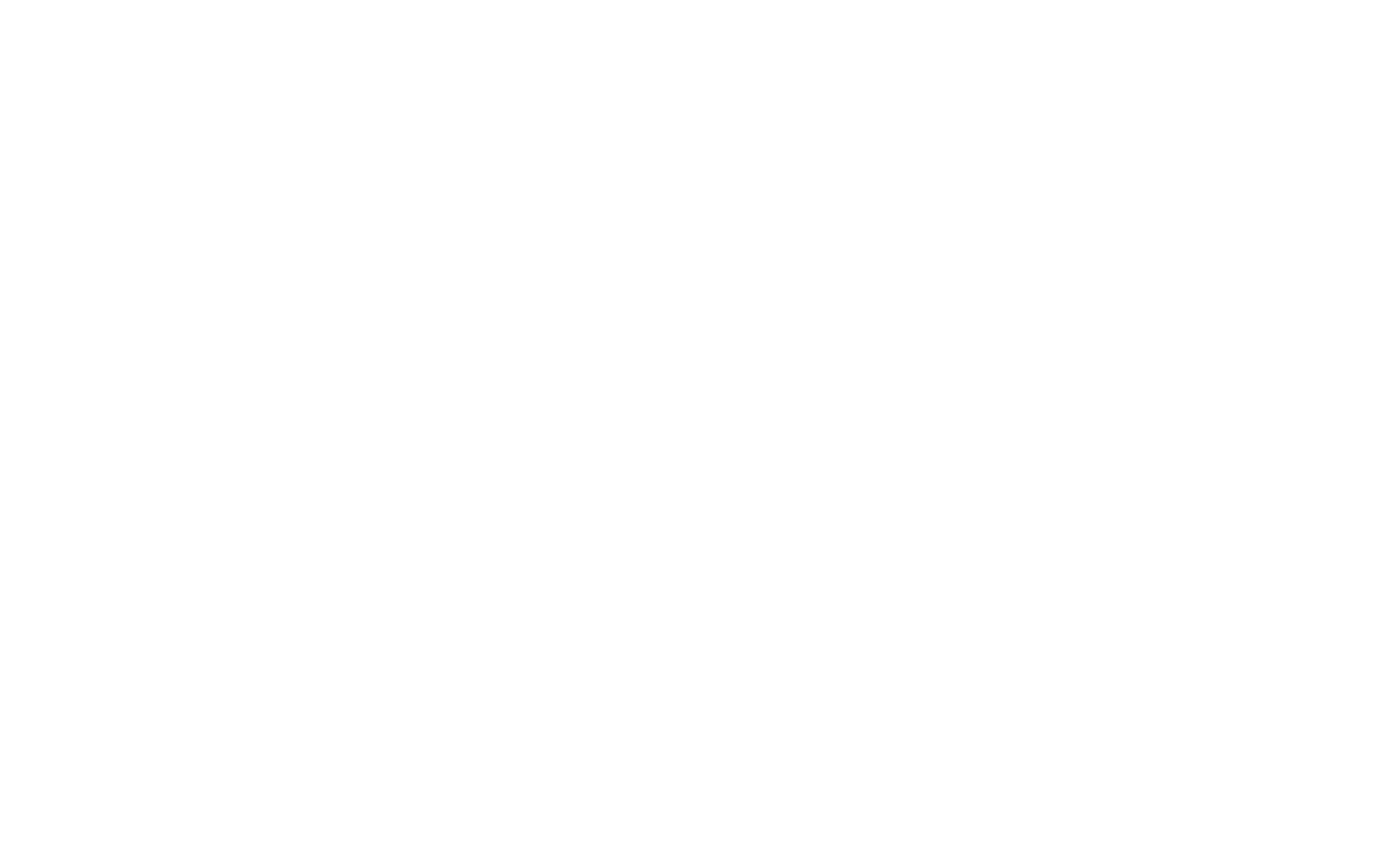 Main Logo