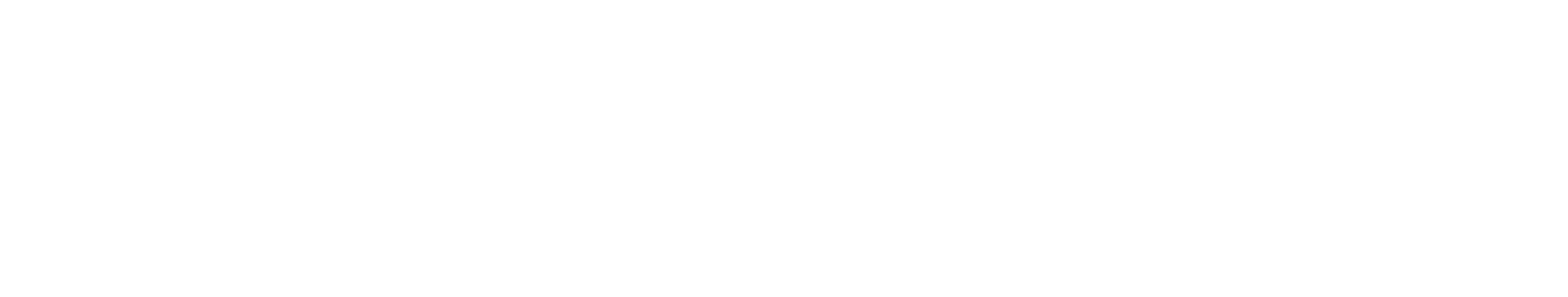 Main Logo