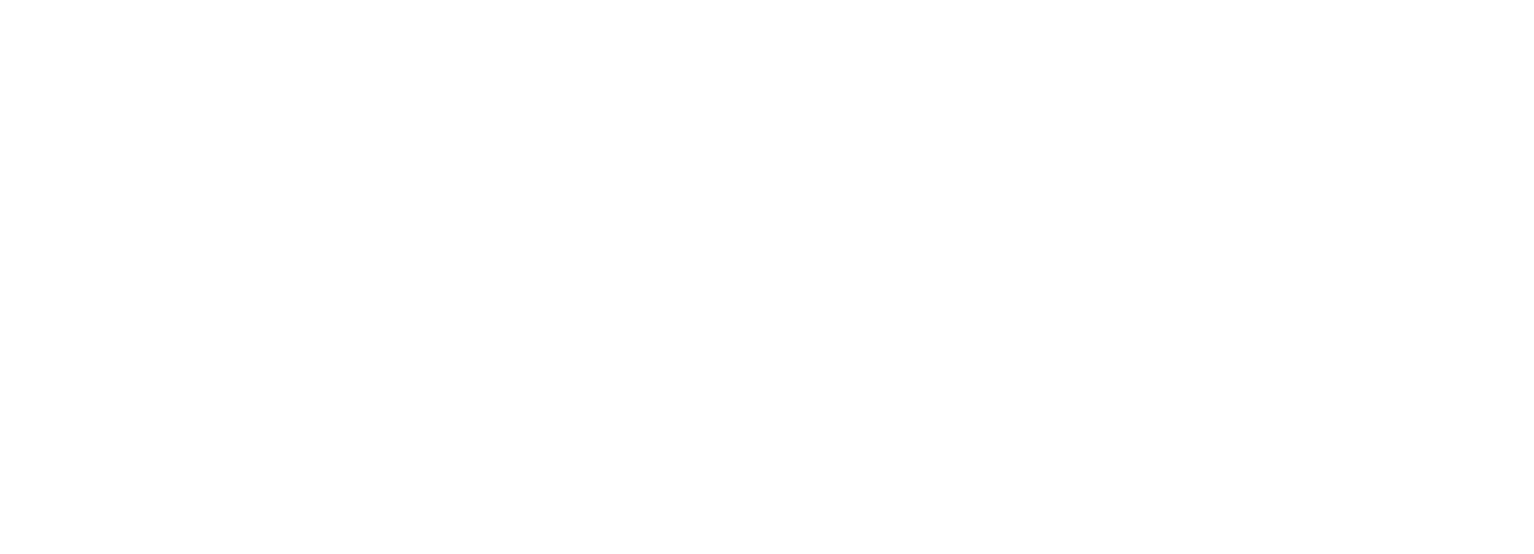 Main Logo