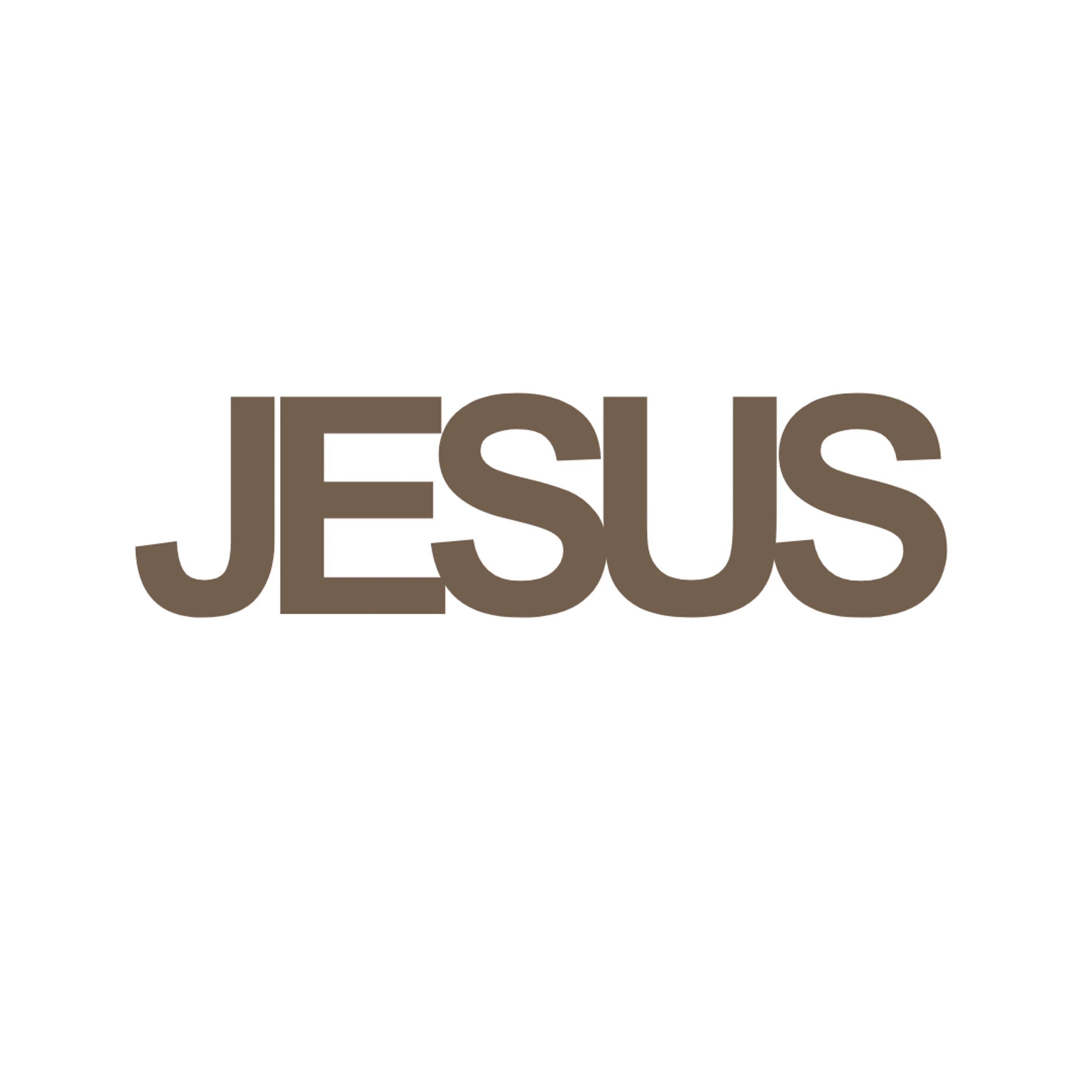 The word JESUS written in a bold, brown, sans-serif font on a plain white background.