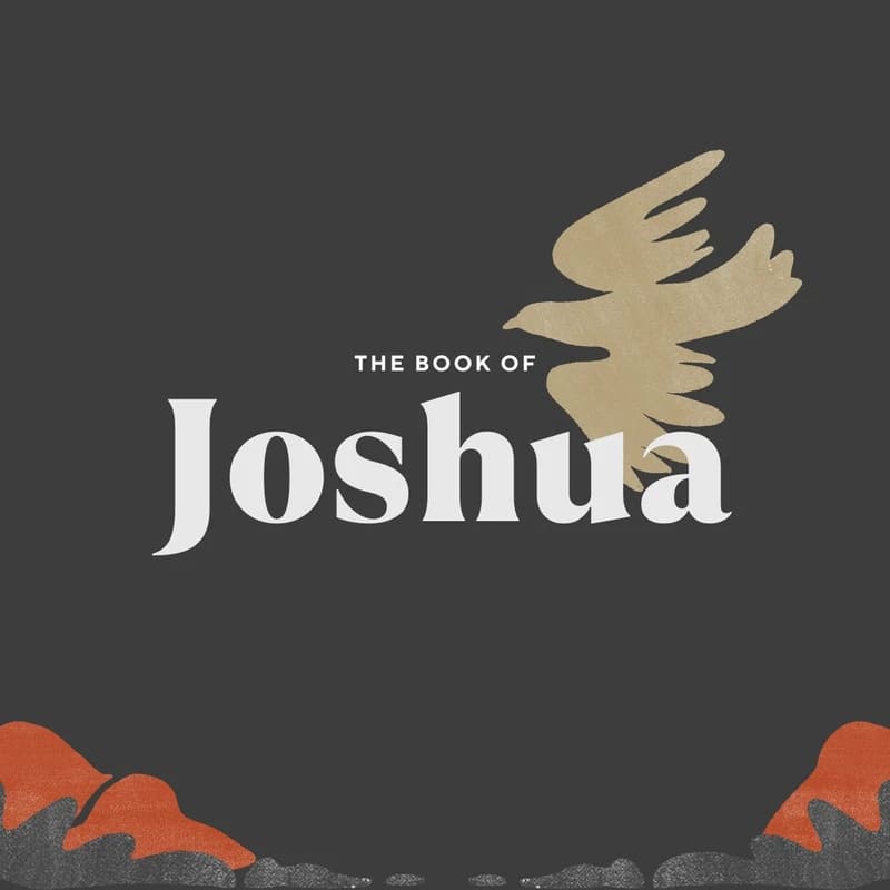 A graphic for The Book of Joshua with a stylized tan bird over the text and red rocks at the bottom against a dark grey background.