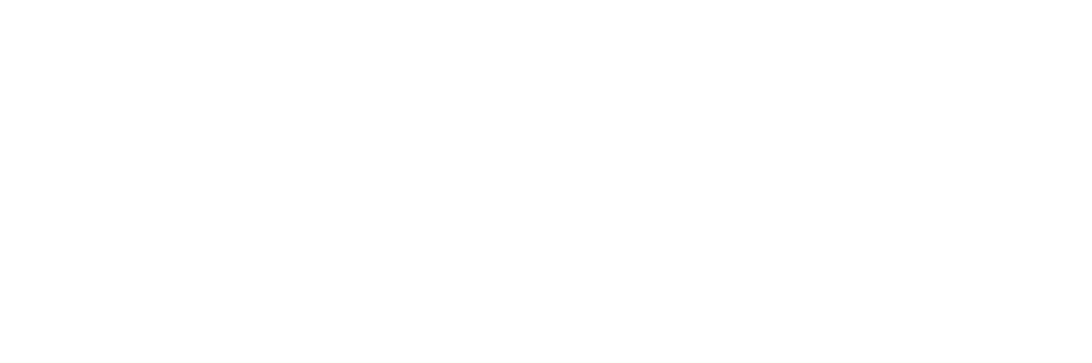 Main Logo