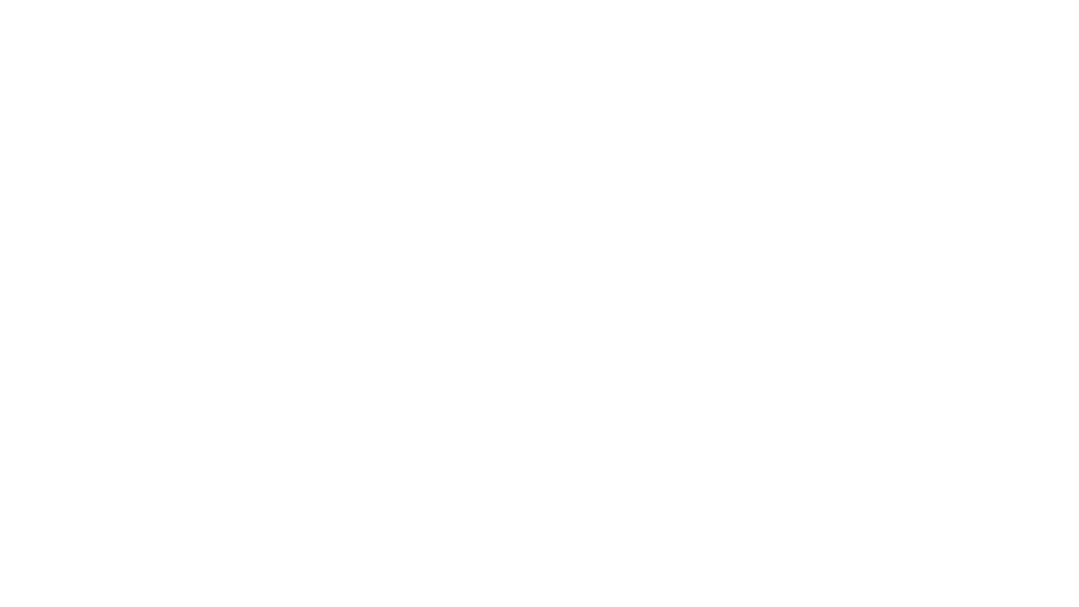 Main Logo