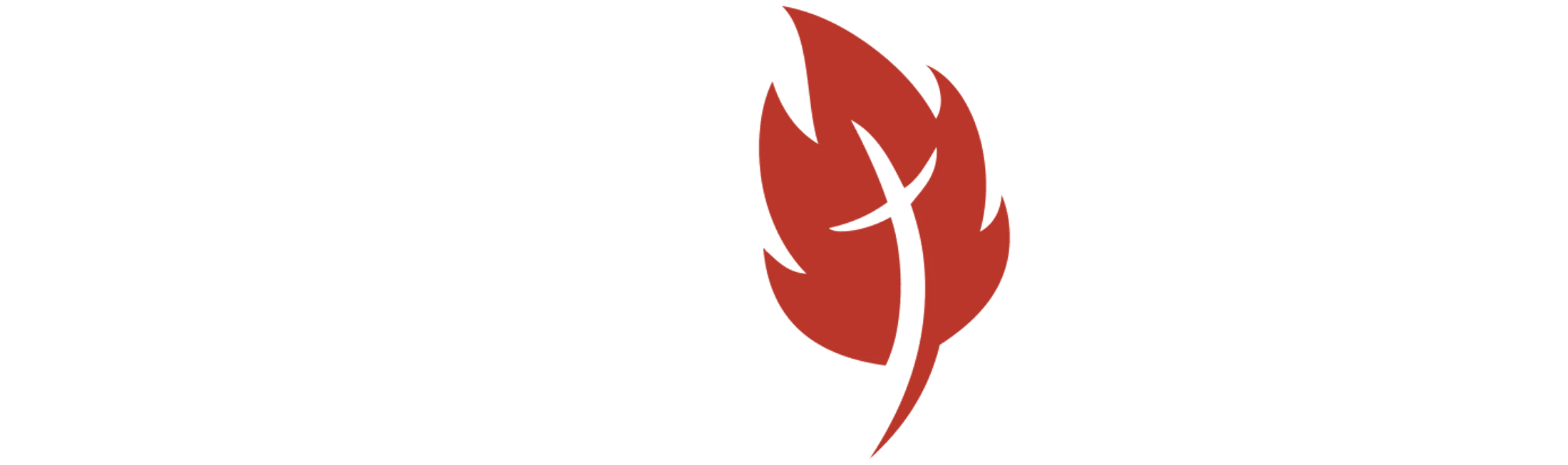 Main Logo