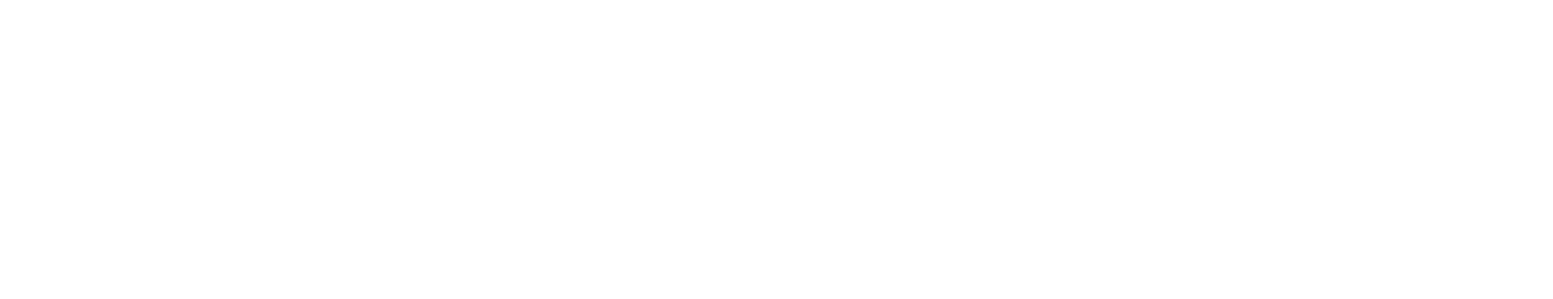 Main Logo