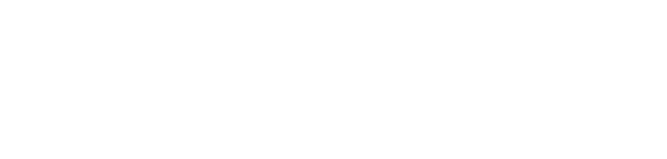 Main Logo