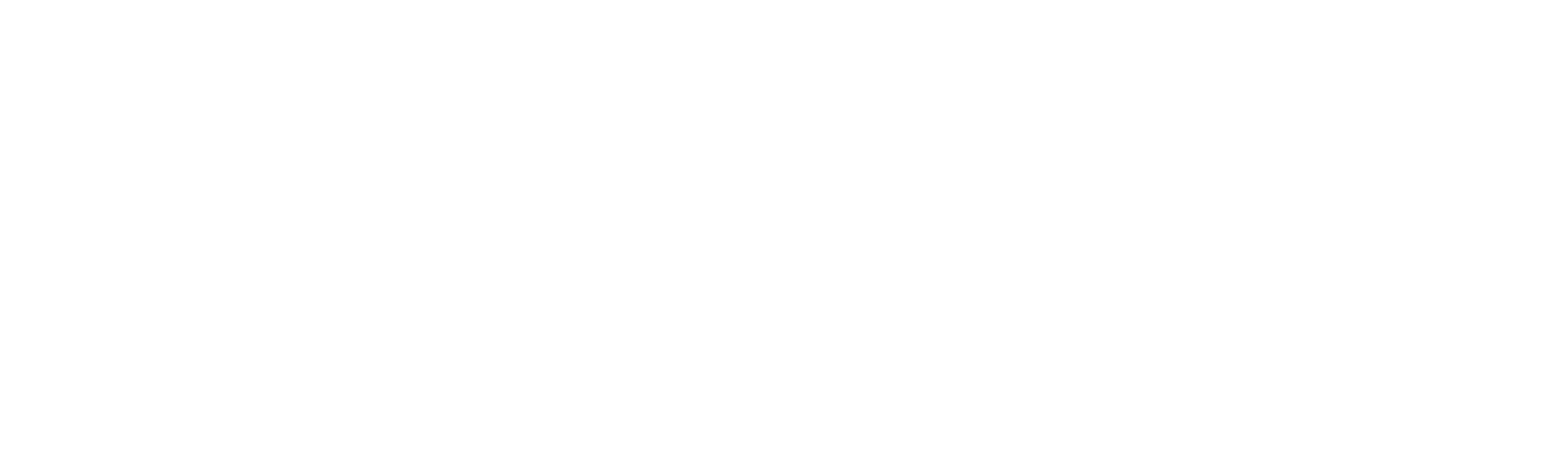 Main Logo