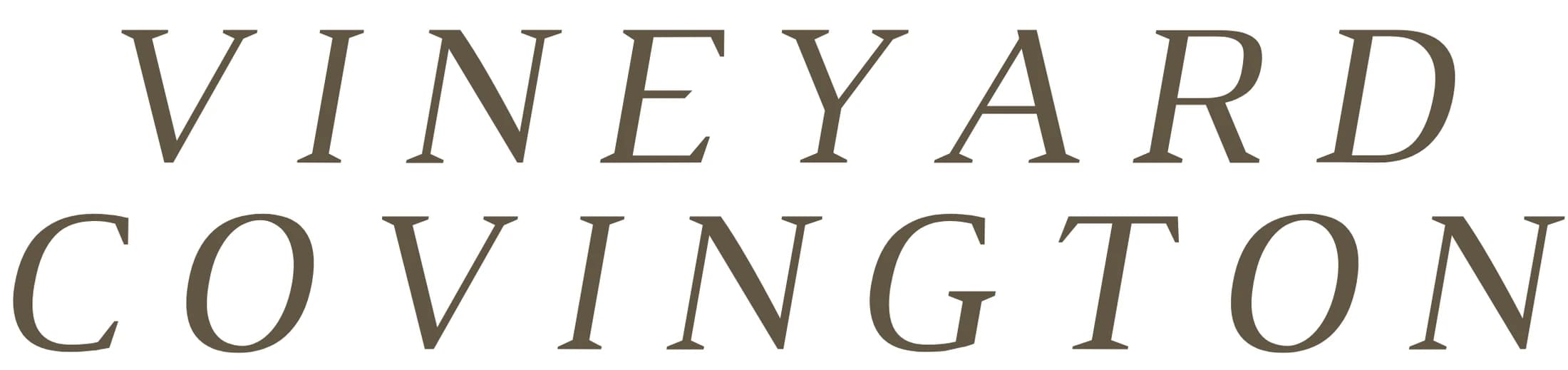Northshore Vineyard Church 2