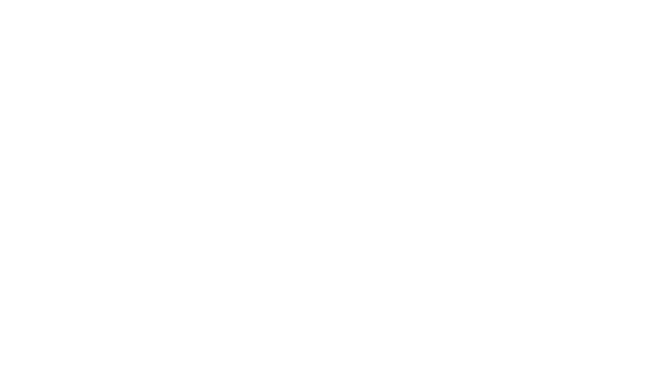 Main Logo