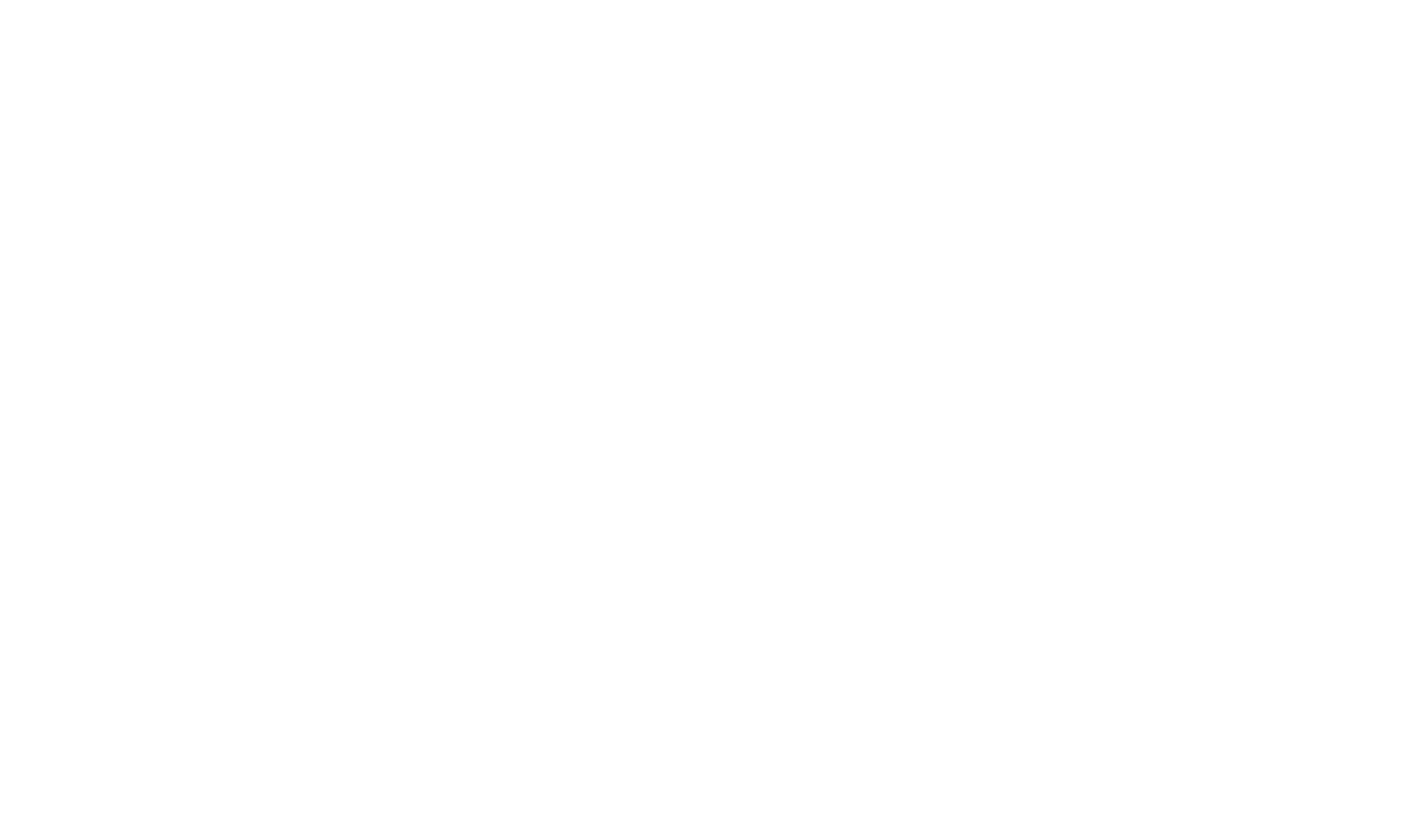 Main Logo