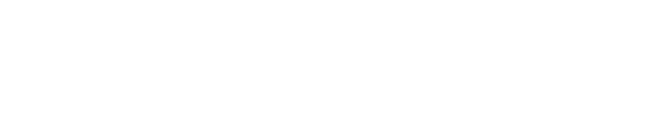 Main Logo