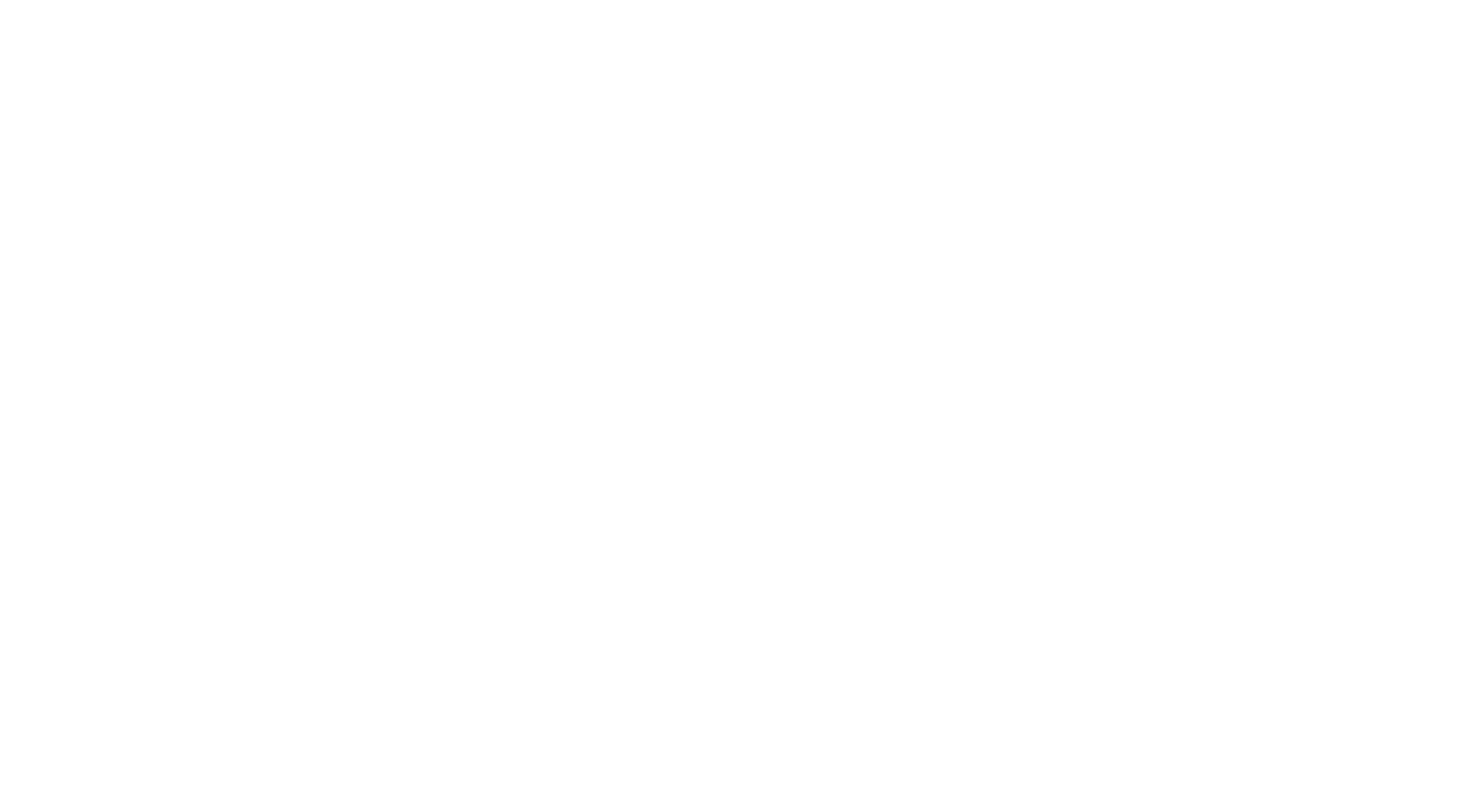 Main Logo