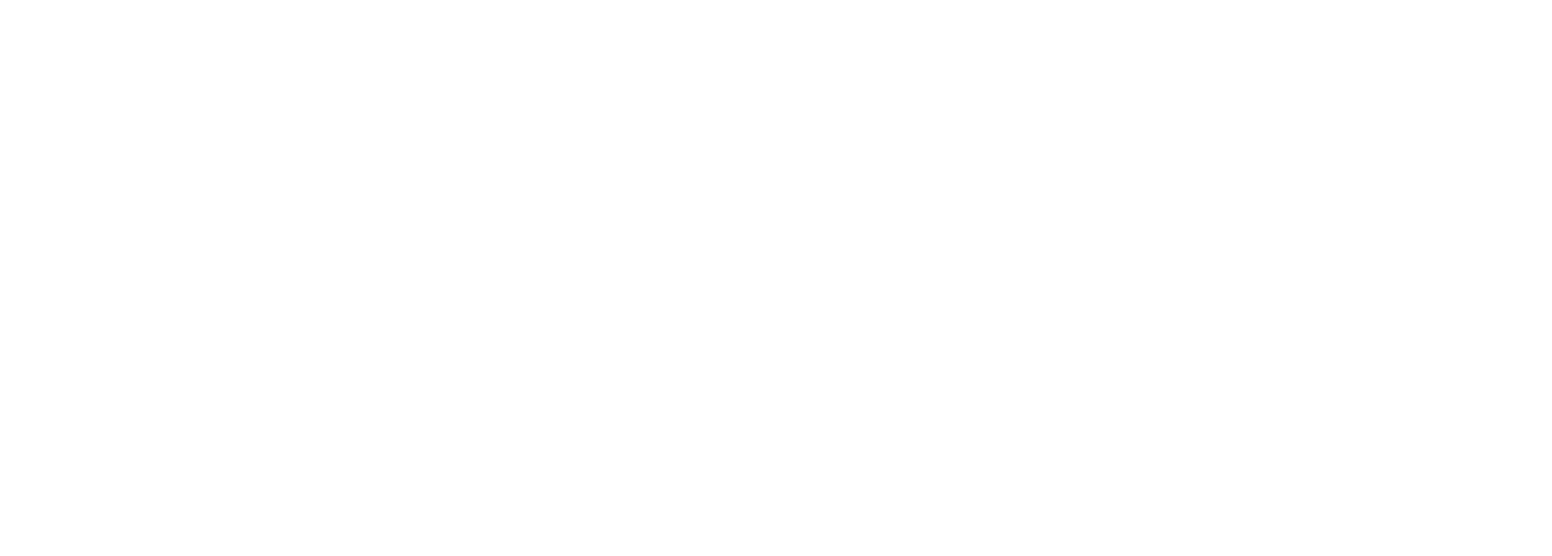 Main Logo