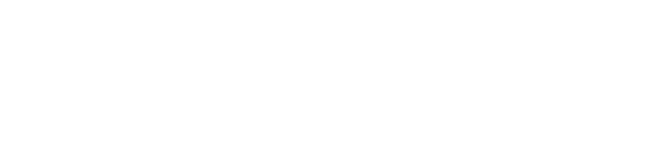 Main Logo