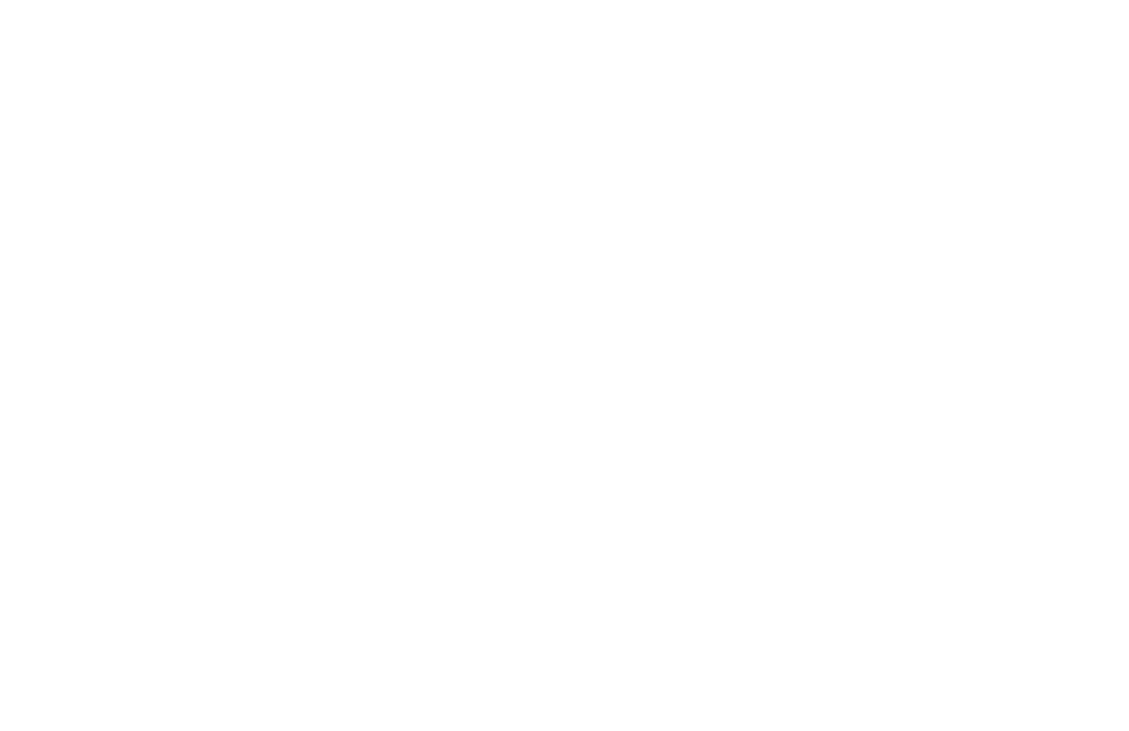Main Logo