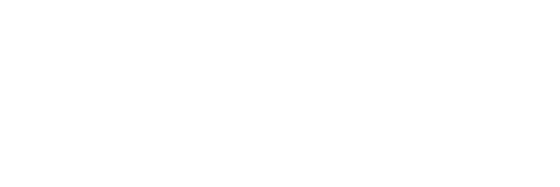 Main Logo