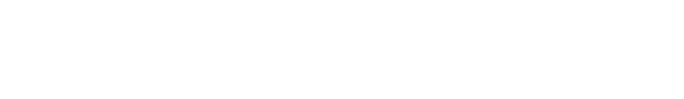Main Logo