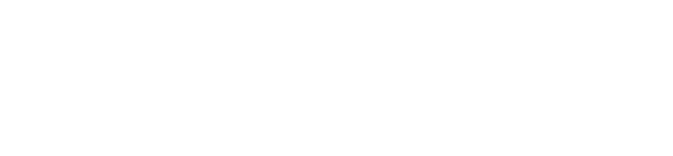Main Logo
