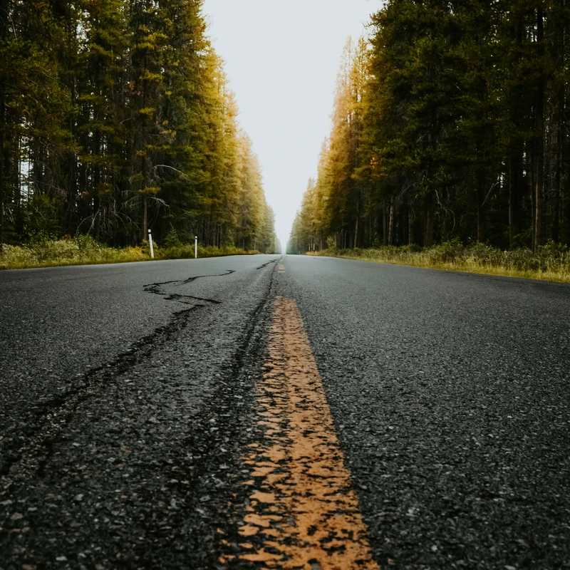 Our <span style="color: var(--tertiary-color-bg);"><span style="color:var(--primary-color-bg)">Mission</span></span>