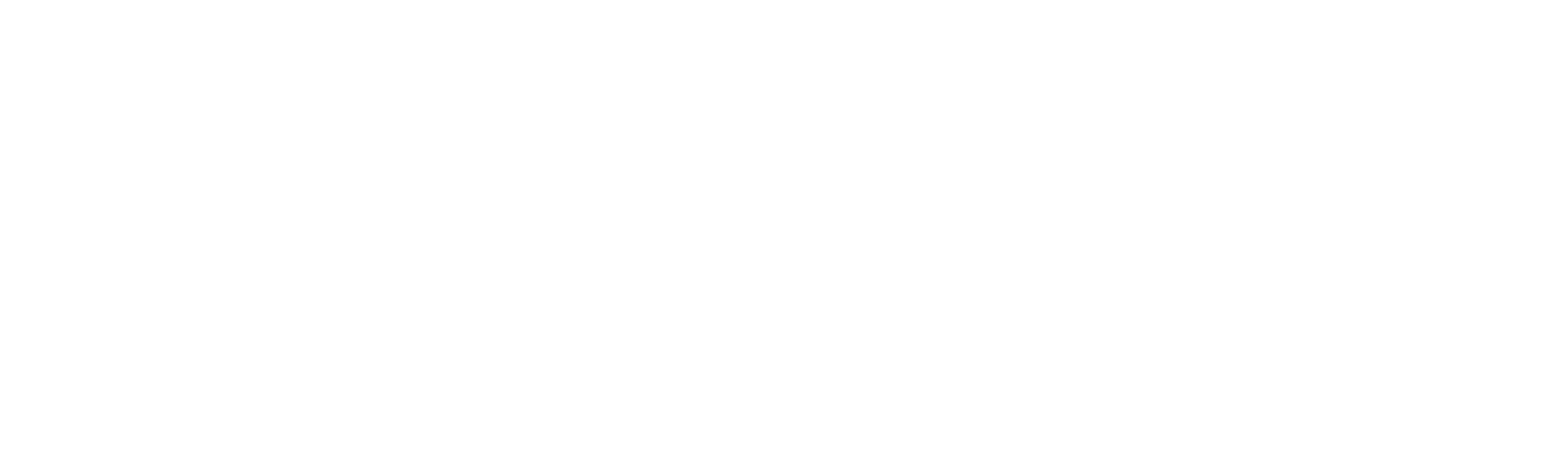 Main Logo