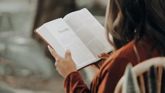 Bible Study<div>Groups</div>