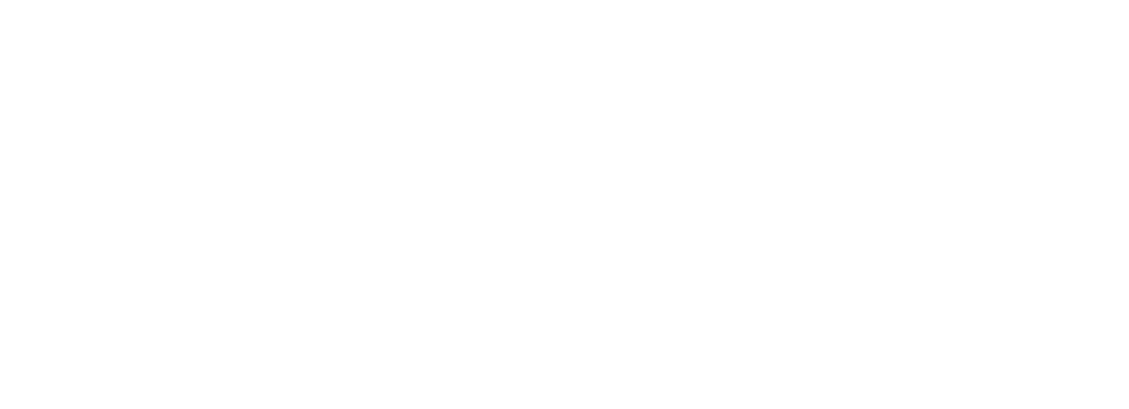 Main Logo