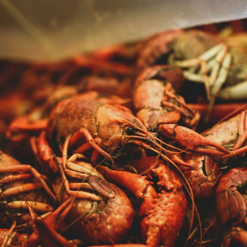 Men's Crawfish Boil<br>Friday, March 20, 2026