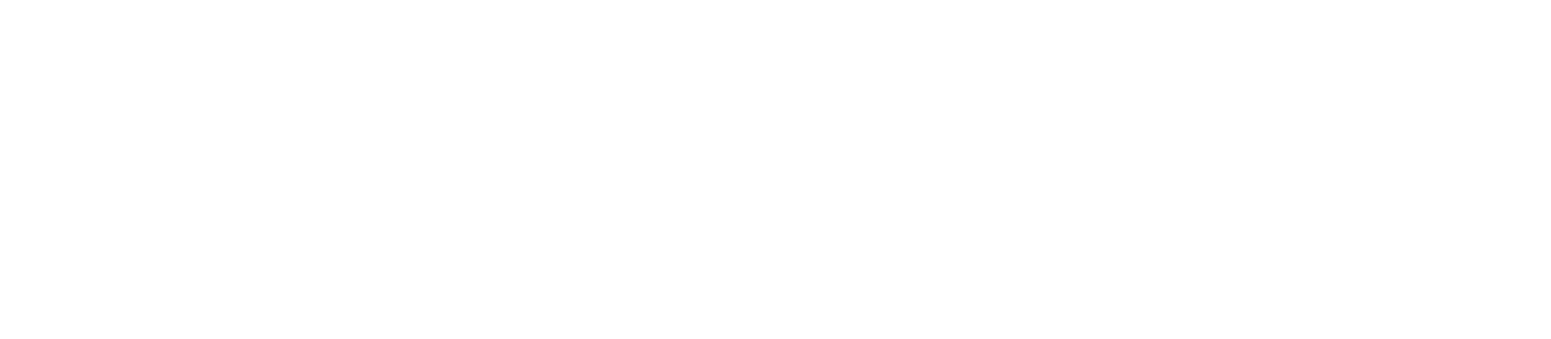 Main Logo