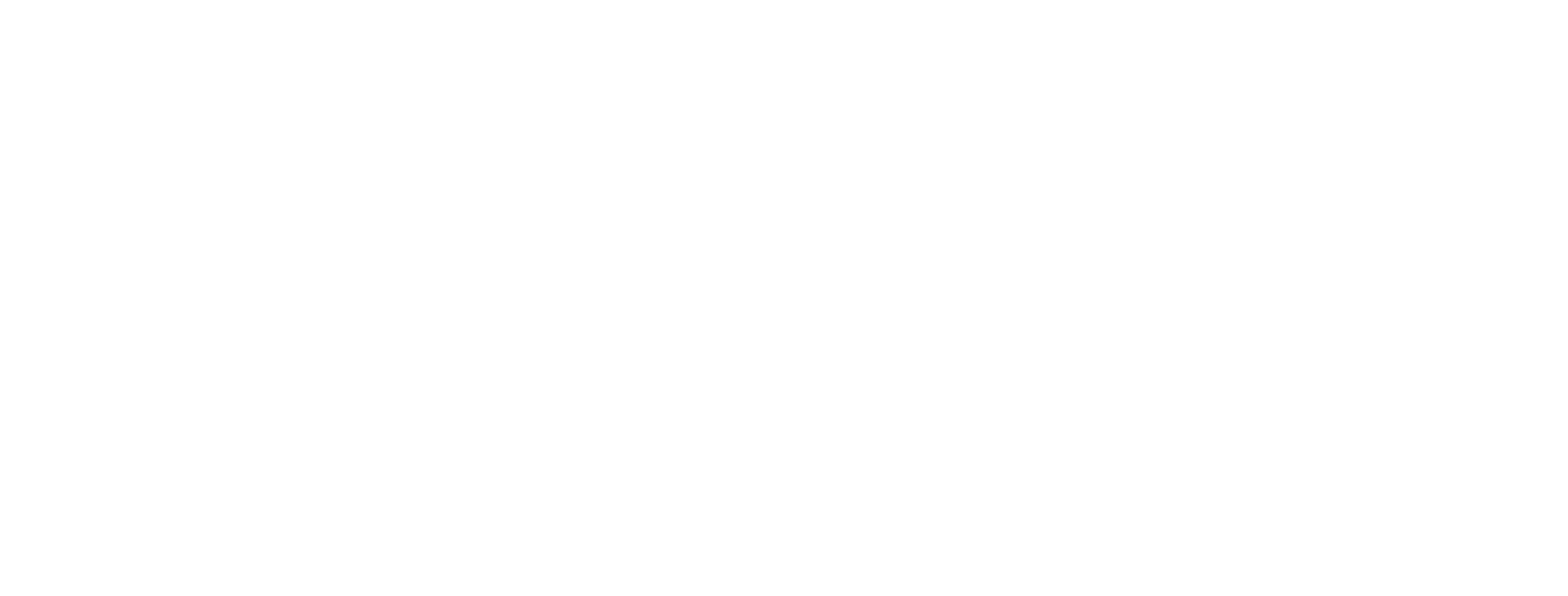 Main Logo