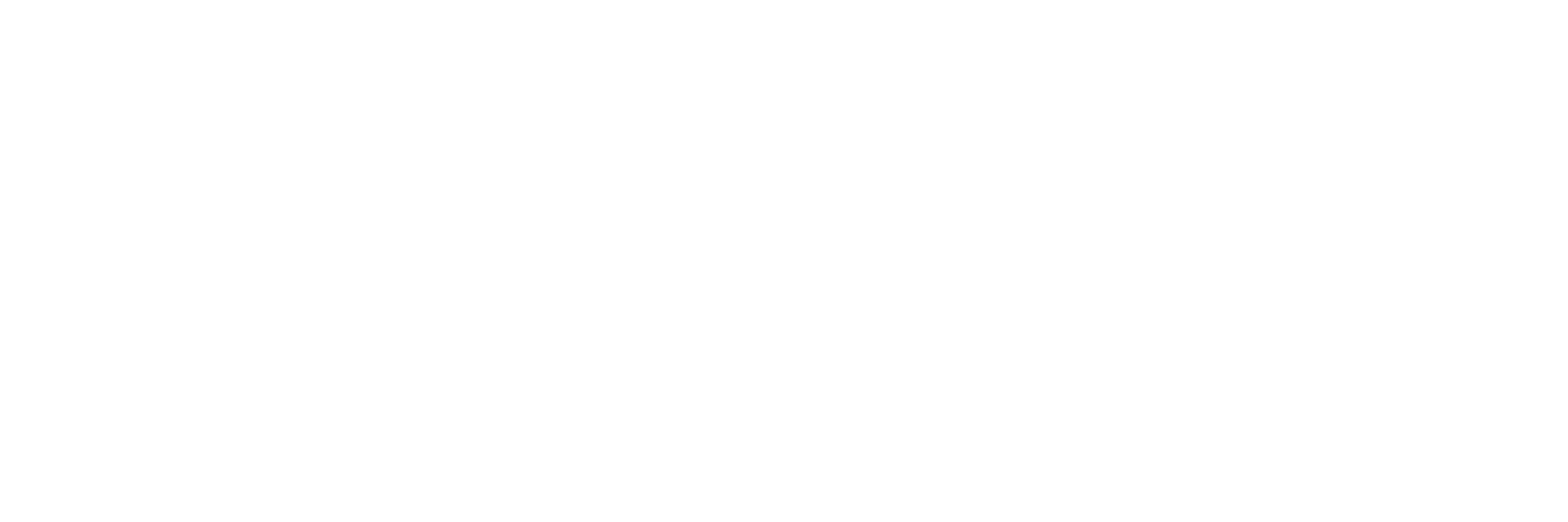 Main Logo
