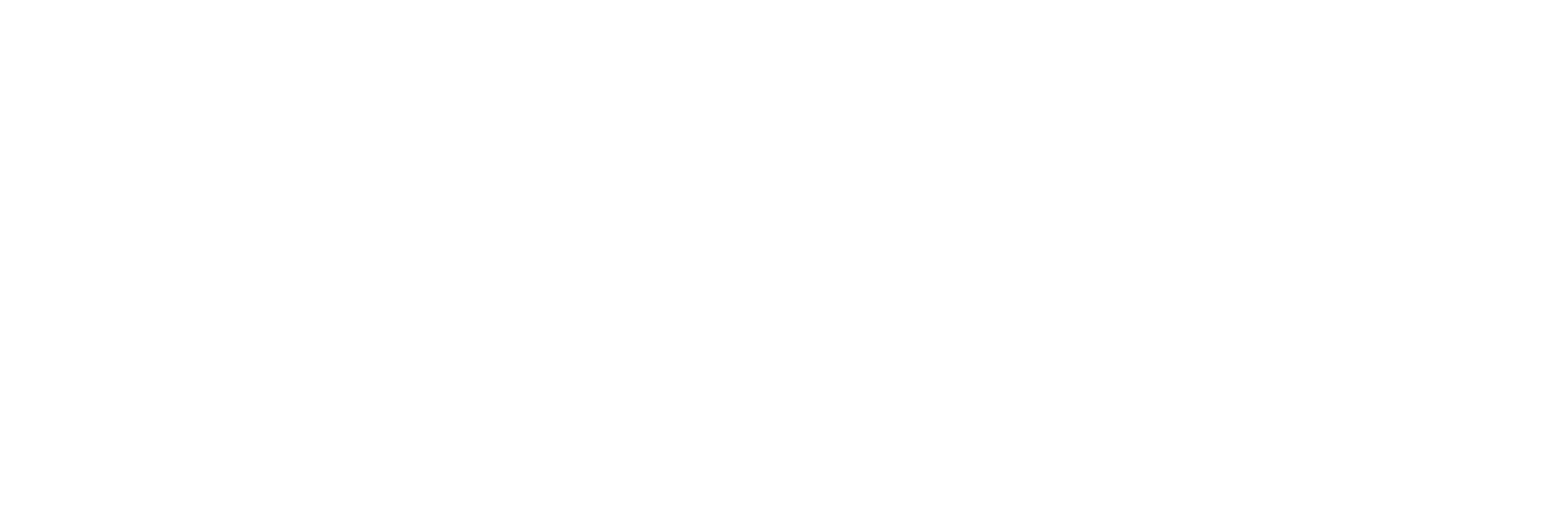 Main Logo