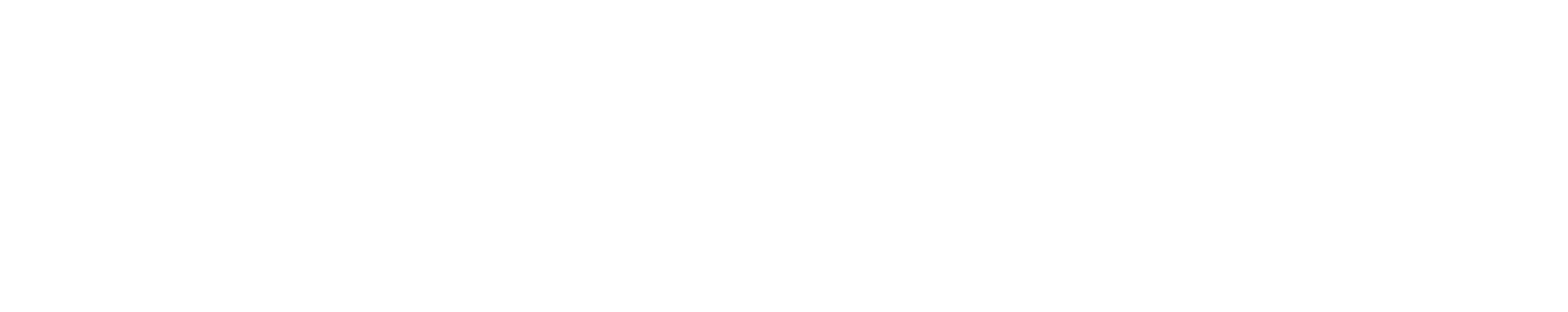 Main Logo